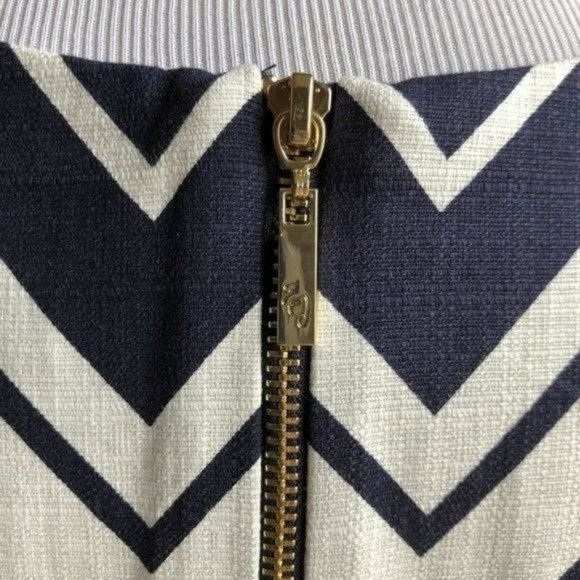 Eliza J Sleeveless Chevron Print Shift Dress - 14 - Picture 5 of 7